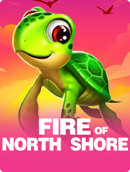 Fire of North shore