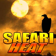 Safari Heat